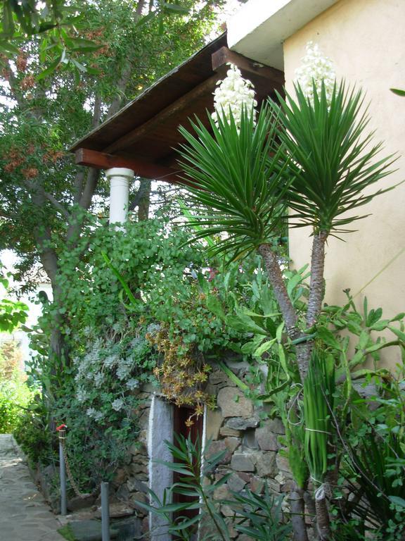 Residence L'Ulivo Budoni Ngoại thất bức ảnh