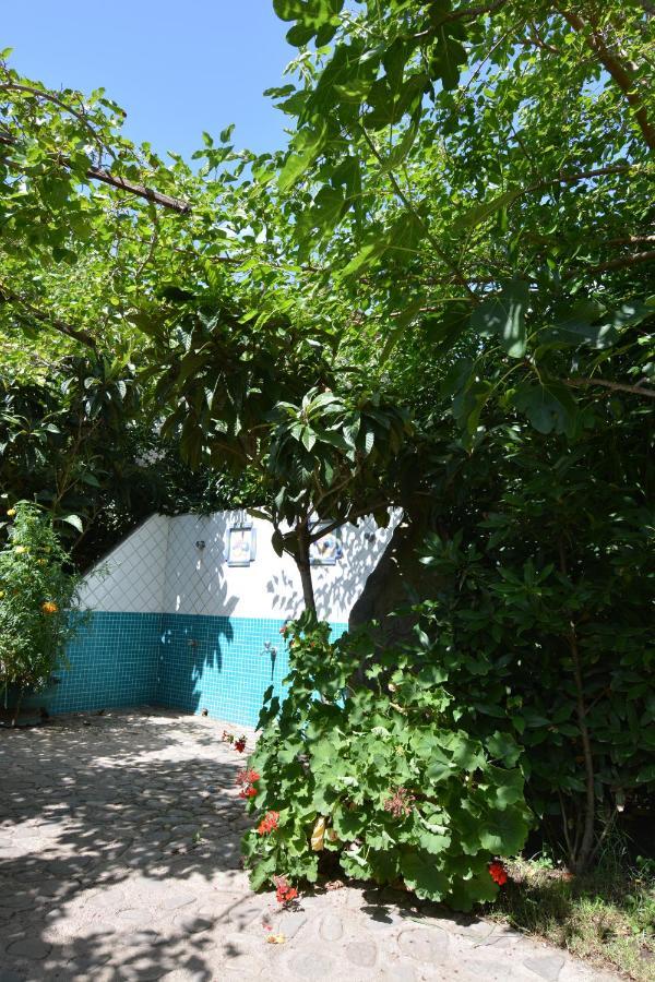 Residence L'Ulivo Budoni Ngoại thất bức ảnh